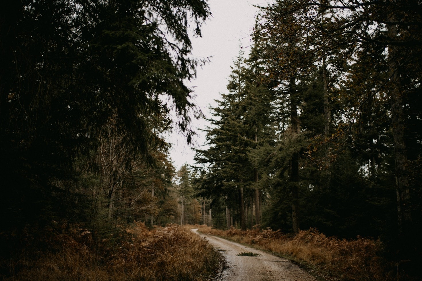 Collaborative Efforts in New Brunswick’s Forest Industry